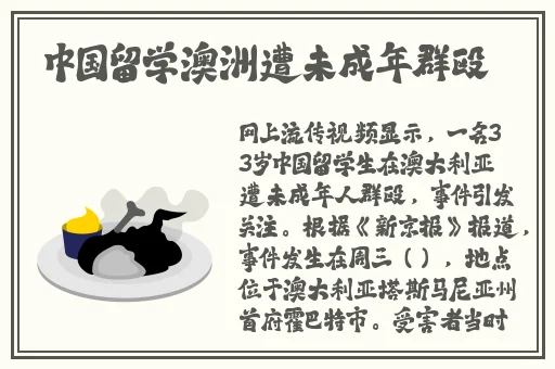 91轻量版最新版苹果手机